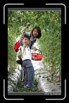 IMG_7304 * 600 x 966 * (286KB)