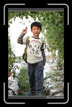 IMG_7310 * 600 x 966 * (286KB)