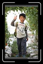 IMG_7312 * 600 x 966 * (286KB)