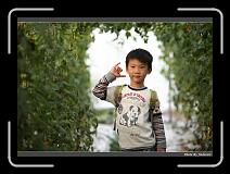 IMG_7313 * 900 x 644 * (256KB)