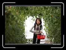 IMG_7316 * 900 x 644 * (282KB)