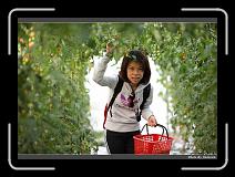 IMG_7319 * 900 x 644 * (275KB)