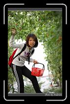 IMG_7321 * 600 x 966 * (288KB)