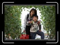 IMG_7326 * 900 x 644 * (278KB)