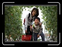 IMG_7327 * 900 x 644 * (277KB)