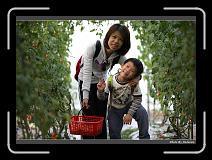 IMG_7328 * 900 x 644 * (294KB)
