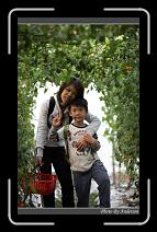IMG_7330 * 600 x 966 * (276KB)
