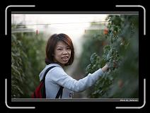 IMG_7331 * 900 x 644 * (249KB)
