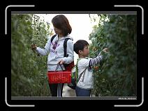 IMG_7334 * 900 x 644 * (267KB)
