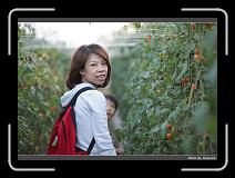 IMG_7341 * 900 x 644 * (299KB)