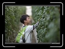 IMG_7343 * 900 x 644 * (279KB)
