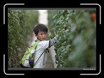 IMG_7345 * 900 x 644 * (288KB)