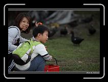 IMG_7361 * 900 x 644 * (262KB)