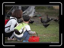 IMG_7364 * 900 x 644 * (286KB)