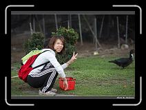 IMG_7368 * 900 x 644 * (271KB)