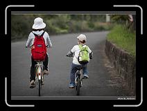 IMG_7387 * 900 x 644 * (277KB)