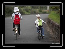 IMG_7388 * 900 x 644 * (272KB)