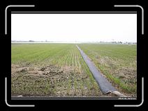 IMG_7522 * 900 x 644 * (290KB)