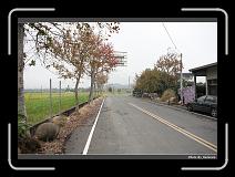 IMG_7530 * 900 x 644 * (282KB)