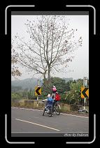 IMG_7543 * 600 x 966 * (298KB)