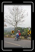 IMG_7544 * 600 x 966 * (276KB)