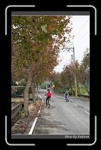 IMG_7556 * 600 x 966 * (292KB)