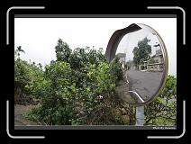 IMG_7562 * 900 x 644 * (289KB)