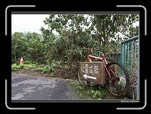 IMG_7567 * 900 x 644 * (294KB)