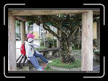 IMG_7638 * 900 x 644 * (286KB)