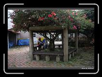 IMG_7641 * 900 x 644 * (297KB)