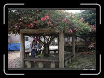 IMG_7643 * 900 x 644 * (287KB)