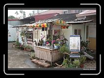 IMG_7644 * 900 x 644 * (298KB)