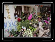 IMG_7646 * 900 x 644 * (289KB)