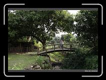 IMG_7648 * 900 x 644 * (294KB)