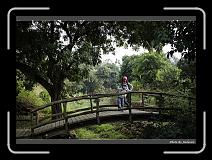 IMG_7650 * 900 x 644 * (299KB)