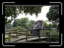 IMG_7657 * 900 x 644 * (297KB)