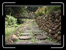 IMG_7667 * 900 x 644 * (282KB)