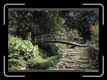 IMG_7676 * 900 x 644 * (295KB)