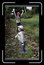 IMG_7678 * 600 x 966 * (286KB)