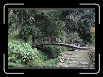 IMG_7680 * 900 x 644 * (300KB)