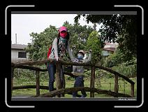 IMG_7681 * 900 x 644 * (284KB)