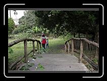 IMG_7684 * 900 x 644 * (299KB)