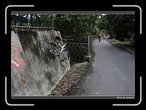 IMG_7696 * 900 x 644 * (300KB)
