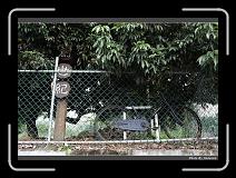 IMG_7702 * 900 x 644 * (294KB)