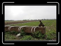 IMG_7714 * 900 x 644 * (262KB)