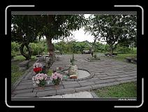 IMG_7764 * 900 x 644 * (293KB)