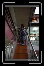 IMG_7793 * 600 x 966 * (300KB)