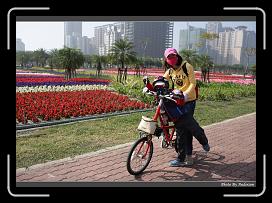 IMG_7818 * 900 x 644 * (291KB)