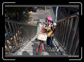 IMG_7832 * 900 x 644 * (292KB)