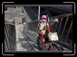 IMG_7834 * 900 x 644 * (284KB)